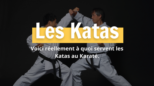 Voici réellement à quoi servent les Katas au Karaté.